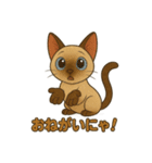 シャム猫の日常スタンプ（個別スタンプ：14）