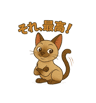 シャム猫の日常スタンプ（個別スタンプ：17）