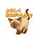 シャム猫の日常スタンプ（個別スタンプ：18）