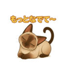 シャム猫の日常スタンプ（個別スタンプ：22）