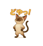 シャム猫の日常スタンプ（個別スタンプ：23）