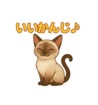 シャム猫の日常スタンプ（個別スタンプ：25）
