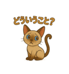 シャム猫の日常スタンプ（個別スタンプ：28）