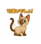シャム猫の日常スタンプ（個別スタンプ：31）