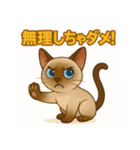 シャム猫の日常スタンプ（個別スタンプ：32）