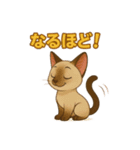 シャム猫の日常スタンプ（個別スタンプ：34）