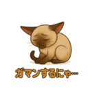 シャム猫の日常スタンプ（個別スタンプ：38）