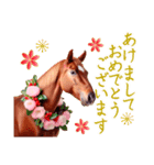 午年 馬 年賀状セット 2026（個別スタンプ：4）