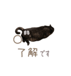 好きっちゃ ホロ兄（個別スタンプ：3）