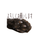 好きっちゃ ホロ兄（個別スタンプ：29）