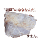 使いどころに乏しい鶏もも肉（個別スタンプ：13）
