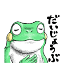 どうぶつが大好き03カエル_ver5日常会話β（個別スタンプ：5）