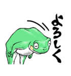 どうぶつが大好き03カエル_ver5日常会話β（個別スタンプ：7）