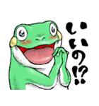 どうぶつが大好き03カエル_ver5日常会話β（個別スタンプ：9）