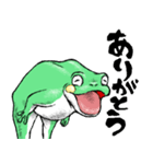 どうぶつが大好き03カエル_ver5日常会話β（個別スタンプ：17）