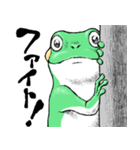 どうぶつが大好き03カエル_ver5日常会話β（個別スタンプ：19）