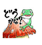 どうぶつが大好き03カエル_ver5日常会話β（個別スタンプ：22）