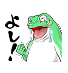 どうぶつが大好き03カエル_ver5日常会話β（個別スタンプ：23）