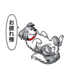 ボーダーコリー (ブルーマール)（個別スタンプ：5）