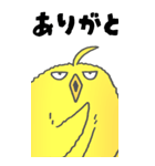 超BIGひよこたんぽぽ その1（個別スタンプ：11）