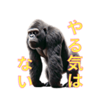 ゴリラ×バスケットボール 第16弾（個別スタンプ：1）