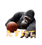 ゴリラ×バスケットボール 第16弾（個別スタンプ：6）