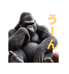 ゴリラ×バスケットボール 第16弾（個別スタンプ：26）