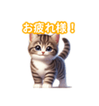 とにかくかわいい ピクシー・ボブ（個別スタンプ：1）