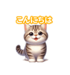 とにかくかわいい ピクシー・ボブ（個別スタンプ：3）