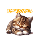 とにかくかわいい ピクシー・ボブ（個別スタンプ：6）