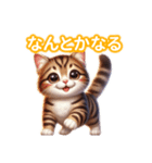 とにかくかわいい ピクシー・ボブ（個別スタンプ：16）