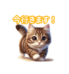 とにかくかわいい ピクシー・ボブ（個別スタンプ：17）