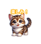 とにかくかわいい ピクシー・ボブ（個別スタンプ：19）