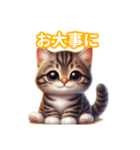 とにかくかわいい ピクシー・ボブ（個別スタンプ：24）