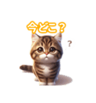とにかくかわいい ピクシー・ボブ（個別スタンプ：31）