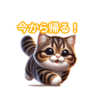 とにかくかわいい ピクシー・ボブ（個別スタンプ：36）