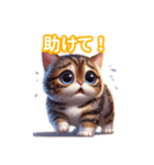 とにかくかわいい ピクシー・ボブ（個別スタンプ：37）
