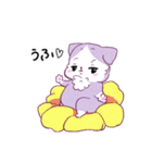 ねこのにあ（個別スタンプ：35）