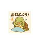 ミドリガメくん（個別スタンプ：1）