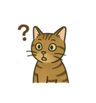 やさしいトラねこスタンプ（個別スタンプ：2）