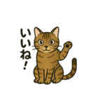 やさしいトラねこスタンプ（個別スタンプ：4）