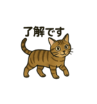 やさしいトラねこスタンプ（個別スタンプ：6）