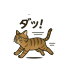 やさしいトラねこスタンプ（個別スタンプ：7）