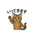 やさしいトラねこスタンプ（個別スタンプ：8）