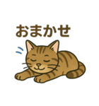 やさしいトラねこスタンプ（個別スタンプ：10）