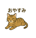 やさしいトラねこスタンプ（個別スタンプ：11）