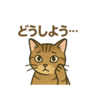 やさしいトラねこスタンプ（個別スタンプ：13）