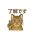 やさしいトラねこスタンプ（個別スタンプ：14）