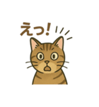 やさしいトラねこスタンプ（個別スタンプ：15）