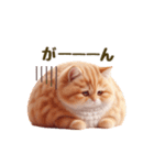 毎日使える！まんまる猫の日常スタンプ（個別スタンプ：3）